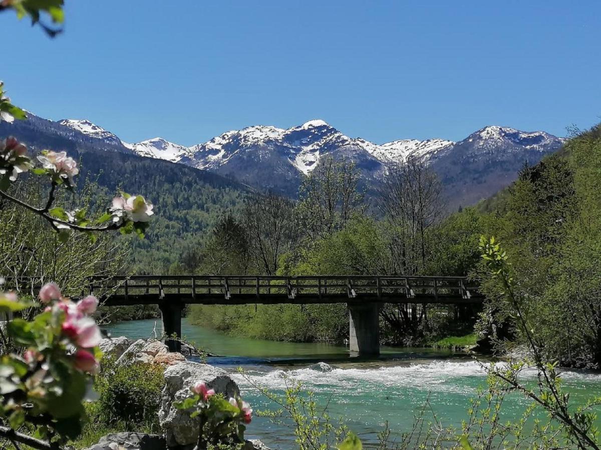Apartma In Sobe Pr'Objan Bohinj Dış mekan fotoğraf