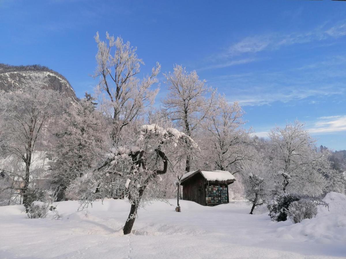 Apartma In Sobe Pr'Objan Bohinj Dış mekan fotoğraf